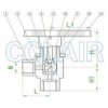 Q13SAF-64，內(nèi)螺紋球閥